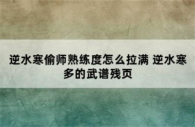 逆水寒偷师熟练度怎么拉满 逆水寒多的武谱残页